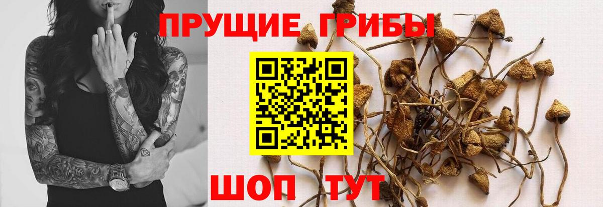 Галлюциногенные грибы Magic Shrooms Волжский